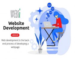 Website development