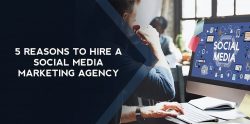 Best Social Media Marketing Agency Florida | Digirabbits