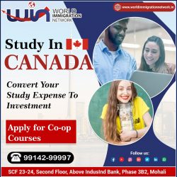 Study In Canada