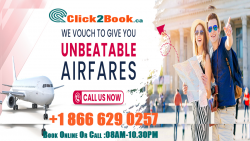 Top Destinations Flight Offers