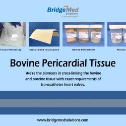 Bovine Pericardial Tissue