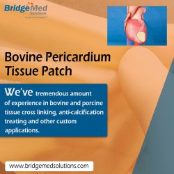 Bovine Pericardium Tissue Patch