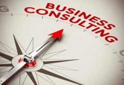 Best Business Consultant In US