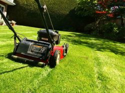 Lawn Mowing Services In Carnegie