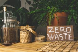 All You Need To Know About Zero Waste Store Australia