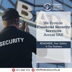 Financial Security Sector Dubai