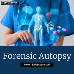 Forensic Autopsy