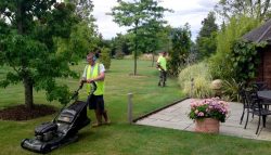 Lawn Mowing Services In Essendon