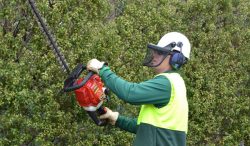 Lawn Mowing Chadstone