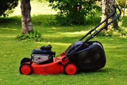 Lawn Mowing Services In Moonee Ponds