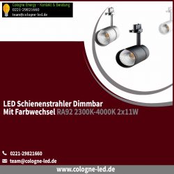 LED Schienenstrahler dimmbar mit Farbwechsel RA92 2300K-4000K 2x11W