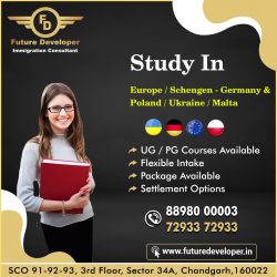 Study Abroad With / Without IELTS