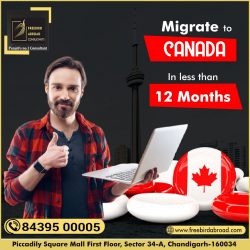 Migrate To CANADA In Less Than 12 Months