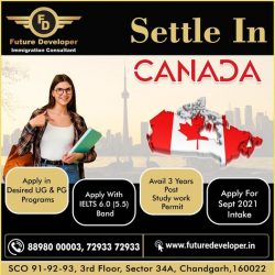 Study In Canada