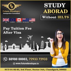 Study Abroad With / Without IELTS