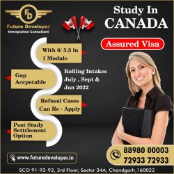 Study In Canada. ? For High, Visa Success Rate Call Us