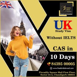 Apply UK Study Visa for Upcoming Intakes