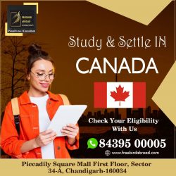 Study In Canada