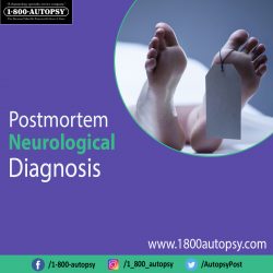 Postmortem Neurological Diagnosis