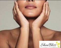 Shea body butter