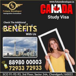 Study In Canada