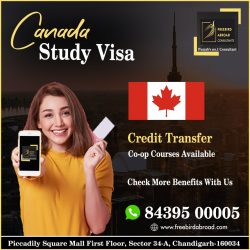 Study In Canada