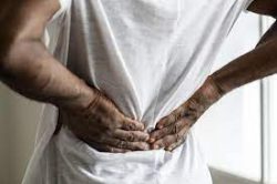 Diagnosis and treatment of low back pain