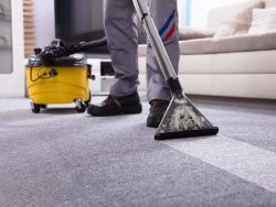 Best carpet cleaning service : Boss Optima