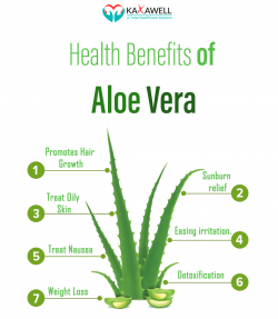 Health Benefits of Aloe Vera