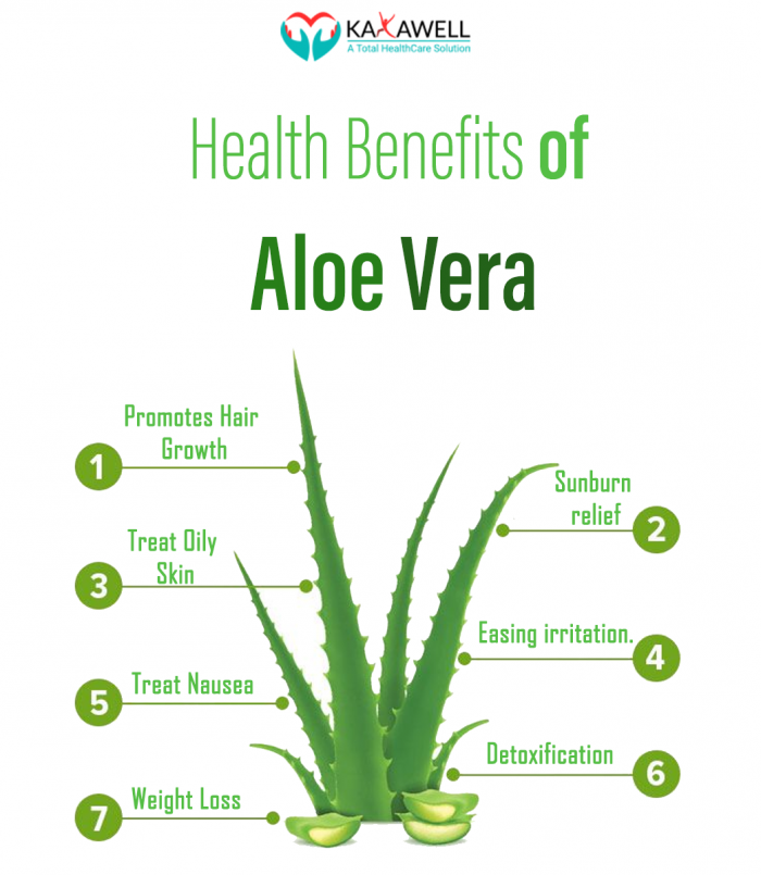 Health Benefits of Aloe Vera