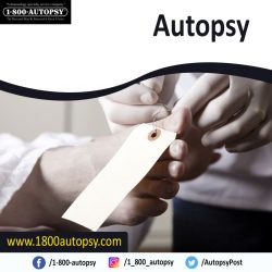 Autopsy