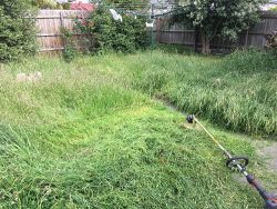 Lawn Mowing Melbourne