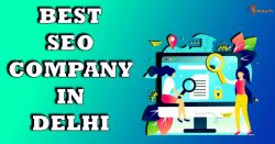 Best SEO Agency in Delhi