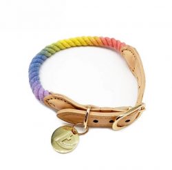 Buy Rainbow Dog Collar