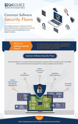 Common Software Security Flaws