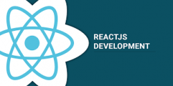 React JS Development Company