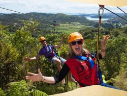 Eco Zip Waiheke NZ