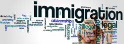 Nir Babani – Canadian Immigration Expert