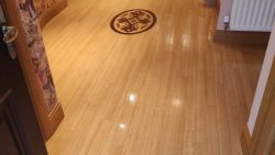 Floor Cleaning Rochestown