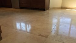 Floor Cleaning Adamstown