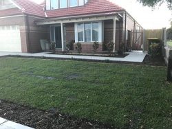 Lawn Mowing Carlton North