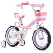 RoyalBaby Jenny Princess Girls Kids Bike 12 14 16 18 Inch, Pink EI