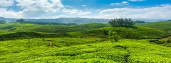 Best Kerala Tour Packages