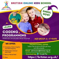 Learn Coding and Programming Online