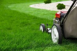 Lawn Mowing Services In Aberfeldie