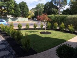 Lawn Mowing Ringwood