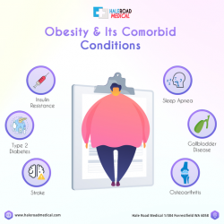 Obesity and its Treatment in Perth | Hale Road Medical