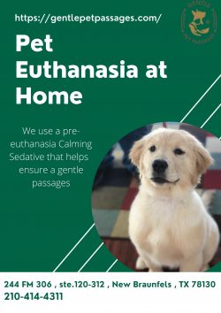 Pet Euthanasia San Antonio – Gentle Pet Passages