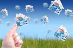 Long Term Investment- Cindy Ughanze