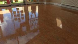 Floor Cleaning Mount Merrion